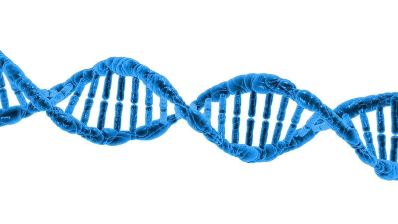Dimensional Modulators